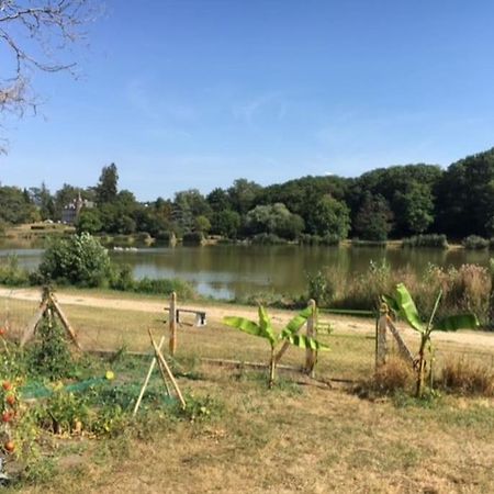 Maison Face A L'Etang Précy Eksteriør billede